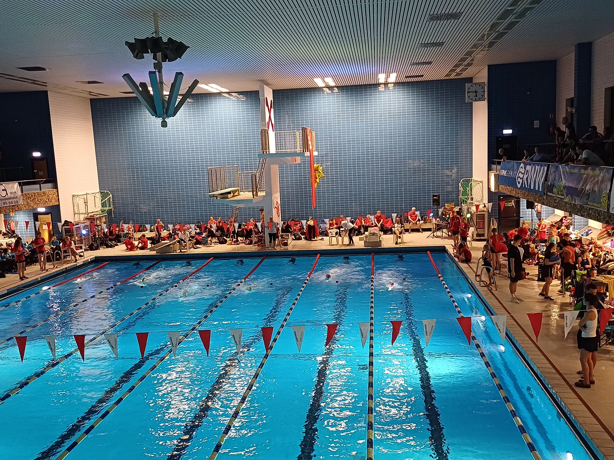 _bwbochum/medien/Schwimmen/Schwimmen_Fotos-2024/2024_11_27_1_Muehlheimer_Speedmeeting_1.webp